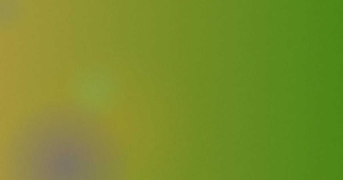 登堂入室测评：别这样用